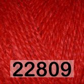 22809 АЛЫЙ