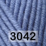 3042 Т.ГОЛУБОЙ