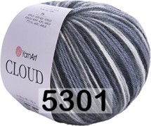 5301 ЧЕРНО-СЕРЫЙ