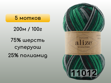 Пряжа Alize Wooltime, 5 мотков