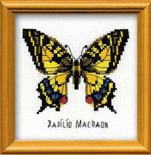 Набор для вышивания Риолис П-096 Махаон, 13*13 см