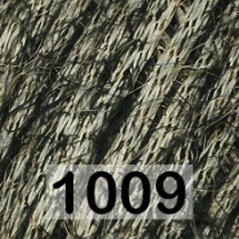 1009 ЗОЛОТОЙ