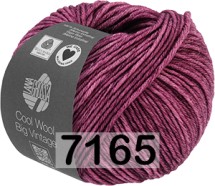 7165 СЛИВА