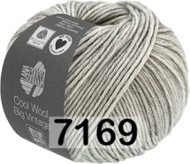 7169 СВ.СЕРЫЙ