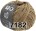 Пряжа Lana Grossa Cool Wool Big Vintage
