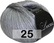 25 СТАЛЬНОЙ