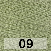 09 ЗЕЛЕНОЕ ЯБЛОКО