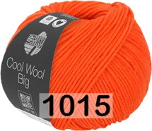 1015 РЫЖИЙ