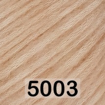 5003 ПУДРА